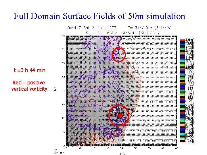 Full Domain Surface Fields of 50 m simulation t =3 h 44 min Red Full Domain Surface Fields of 50 m simulation t =3 h 44 min Red