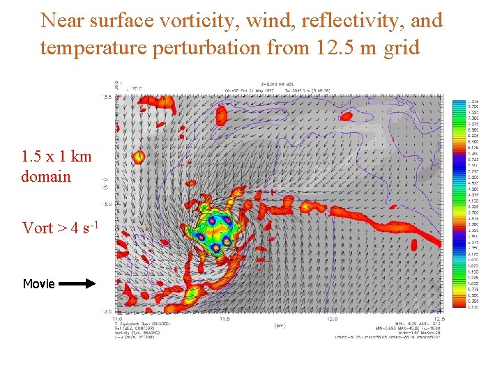Near surface vorticity, wind, reflectivity, and temperature perturbation from 12. 5 m grid 1. Near surface vorticity, wind, reflectivity, and temperature perturbation from 12. 5 m grid 1.