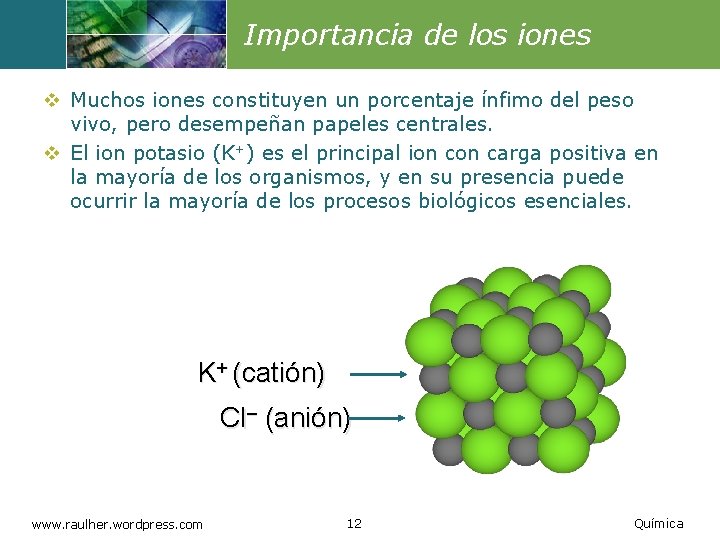 Importancia de los iones v Muchos iones constituyen un porcentaje ínfimo del peso vivo,