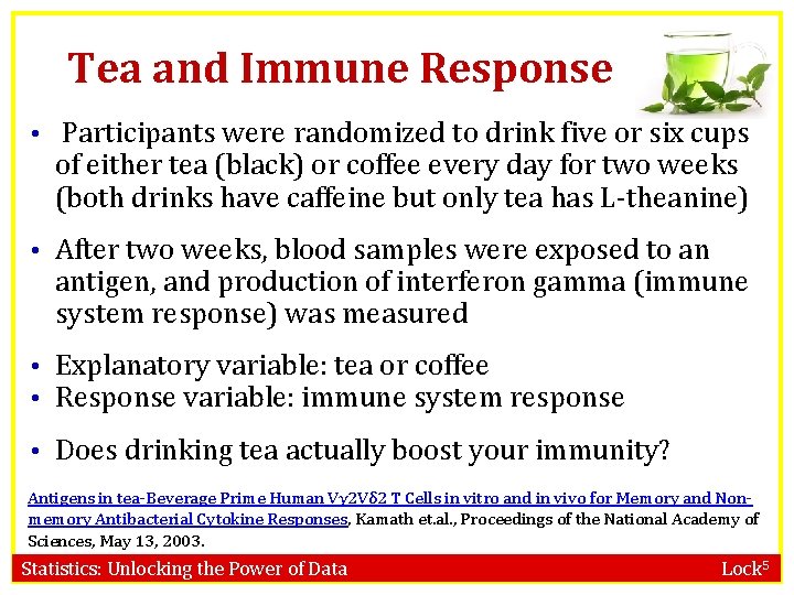 Tea and Immune Response • Participants were randomized to drink five or six cups