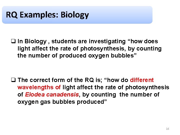 RQ Examples: Biology q In Biology , students are investigating “how does light affect