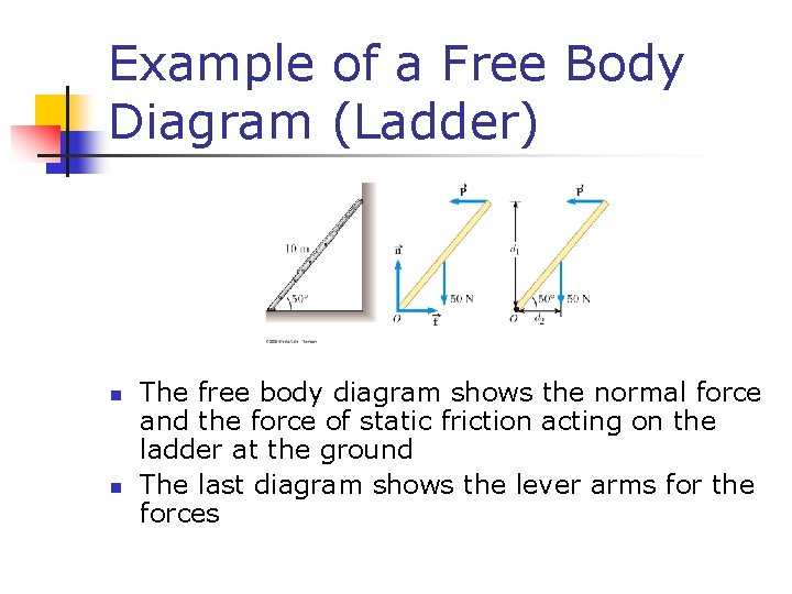 Example of a Free Body Diagram (Ladder) n n The free body diagram shows
