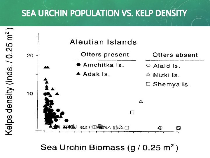 SEA URCHIN POPULATION VS. KELP DENSITY 14 