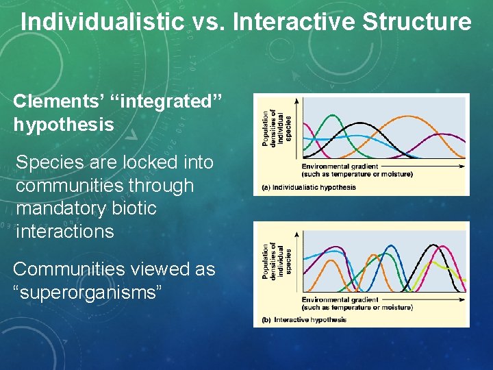 Individualistic vs. Interactive Structure Clements’ “integrated” hypothesis Species are locked into communities through mandatory