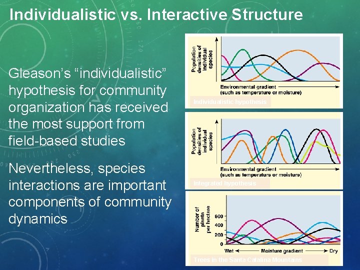 Individualistic vs. Interactive Structure Gleason’s “individualistic” hypothesis for community organization has received the most
