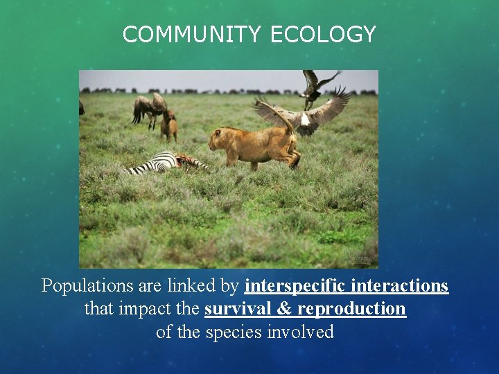 COMMUNITY ECOLOGY Populations are linked by interspecific interactions that impact the survival & reproduction