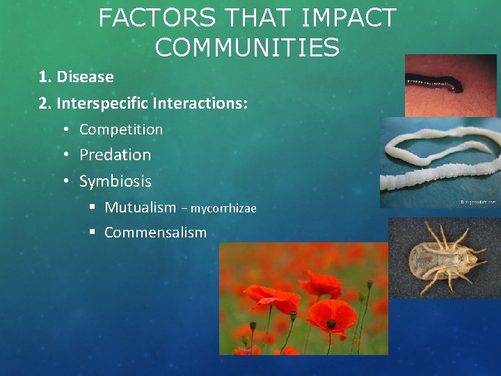 FACTORS THAT IMPACT COMMUNITIES 1. Disease 2. Interspecific Interactions: • Competition • Predation •