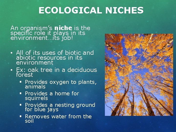 ECOLOGICAL NICHES An organism’s niche is the specific role it plays in its environment…its