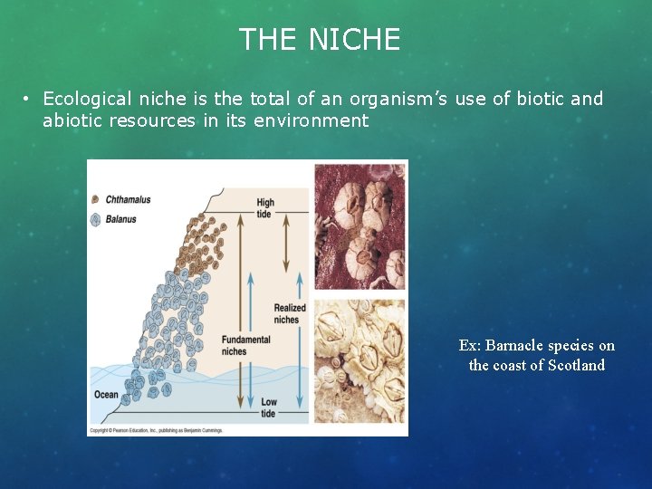 THE NICHE • Ecological niche is the total of an organism’s use of biotic