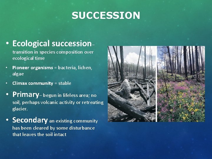 SUCCESSION • Ecological succession− transition in species composition over ecological time • Pioneer organisms