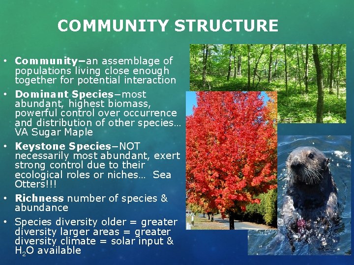 COMMUNITY STRUCTURE • Community−an assemblage of populations living close enough together for potential interaction