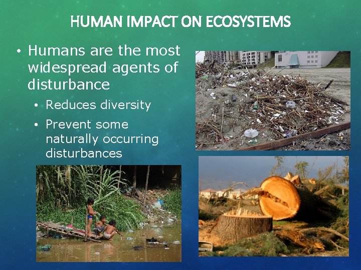 HUMAN IMPACT ON ECOSYSTEMS • Humans are the most widespread agents of disturbance •