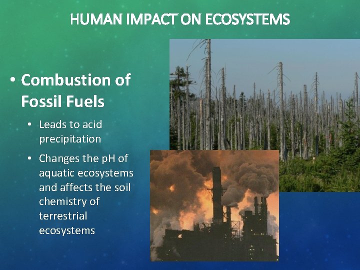 HUMAN IMPACT ON ECOSYSTEMS • Combustion of Fossil Fuels • Leads to acid precipitation
