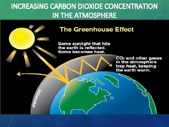 INCREASING CARBON DIOXIDE CONCENTRATION IN THE ATMOSPHERE 