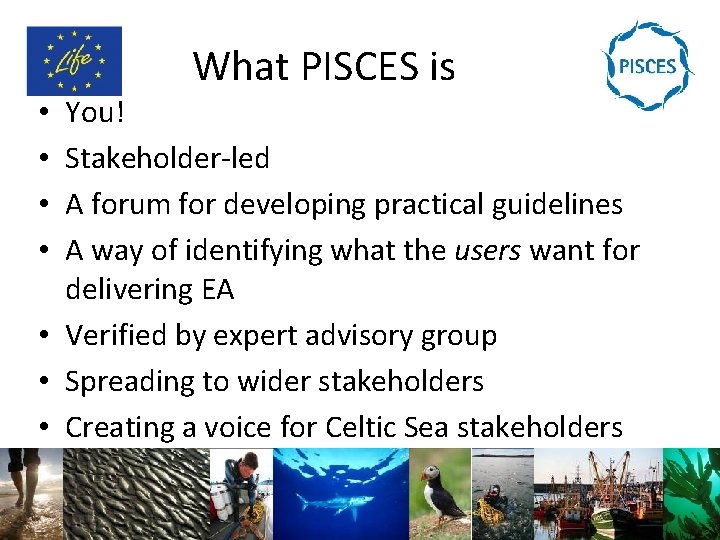 What PISCES is You! Stakeholder-led A forum for developing practical guidelines A way of