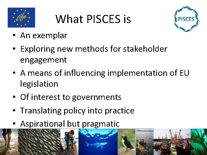 What PISCES is • An exemplar • Exploring new methods for stakeholder engagement •