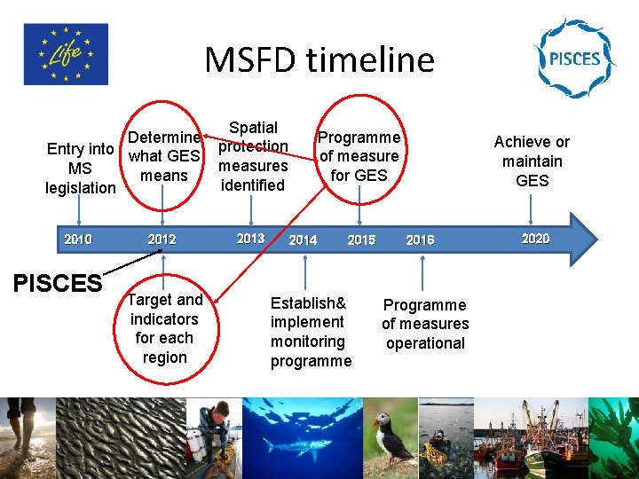 MSFD timeline Determine Entry into what GES MS means legislation 2010 PISCES 2012 Target