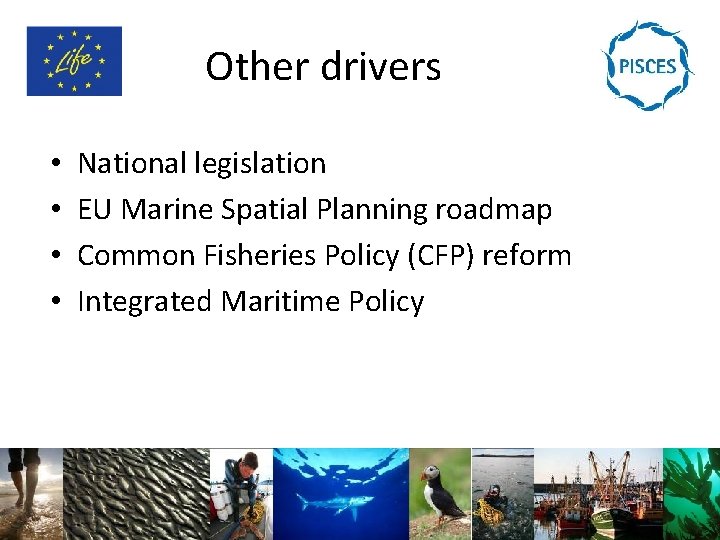 Other drivers • • National legislation EU Marine Spatial Planning roadmap Common Fisheries Policy