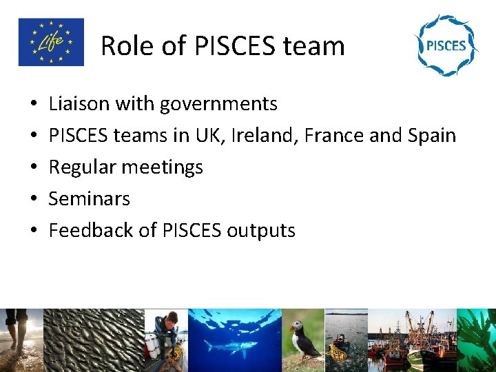 Role of PISCES team • • • Liaison with governments PISCES teams in UK,