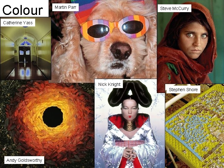 Colour Andy Goldsworthy Martin Parr Steve Mc. Curry Catherine Yass Nick Knight Martin Parr