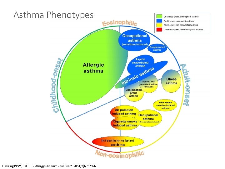Asthma Phenotypes Hekking PPW, Bel EH. J Allergy Clin Immunol Pract. 2014; 2(6): 671