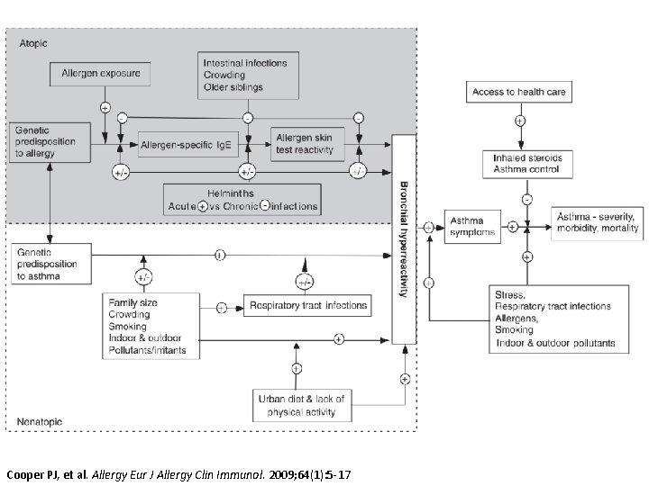Cooper PJ, et al. Allergy Eur J Allergy Clin Immunol. 2009; 64(1): 5 -17