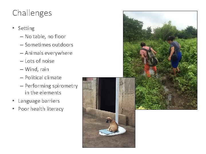 Challenges • Setting – No table, no floor – Sometimes outdoors – Animals everywhere