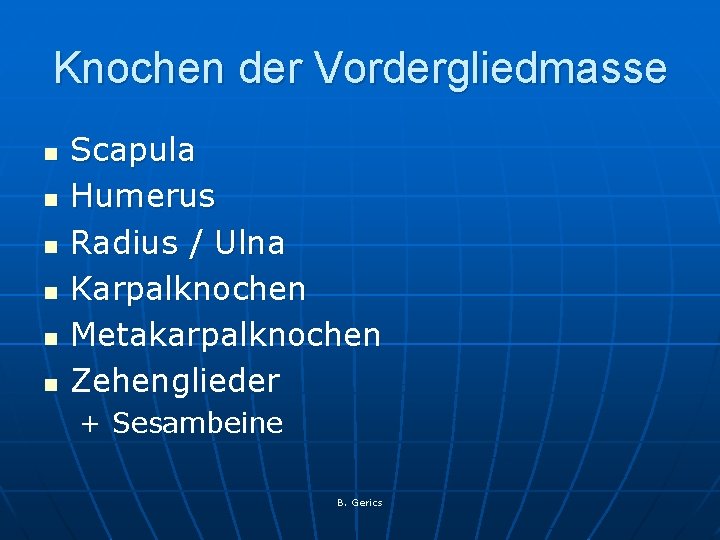 Knochen der Vordergliedmasse n n n Scapula Humerus Radius / Ulna Karpalknochen Metakarpalknochen Zehenglieder