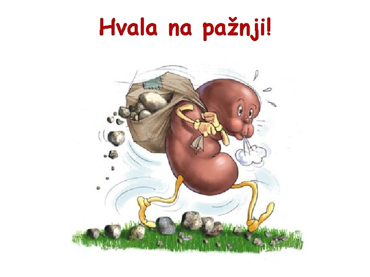 Hvala na pažnji! 