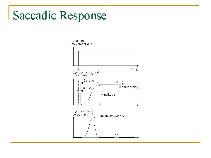 Saccadic Response 