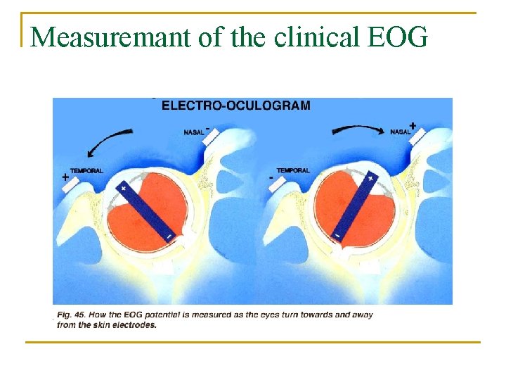 Measuremant of the clinical EOG 