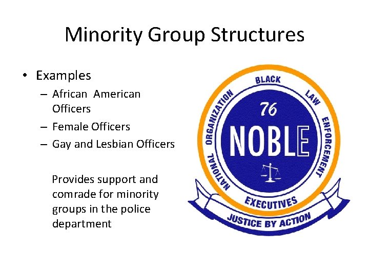 Minority Group Structures • Examples – African American Officers – Female Officers – Gay