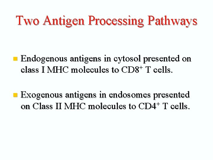 Two Antigen Processing Pathways n Endogenous antigens in cytosol presented on class I MHC