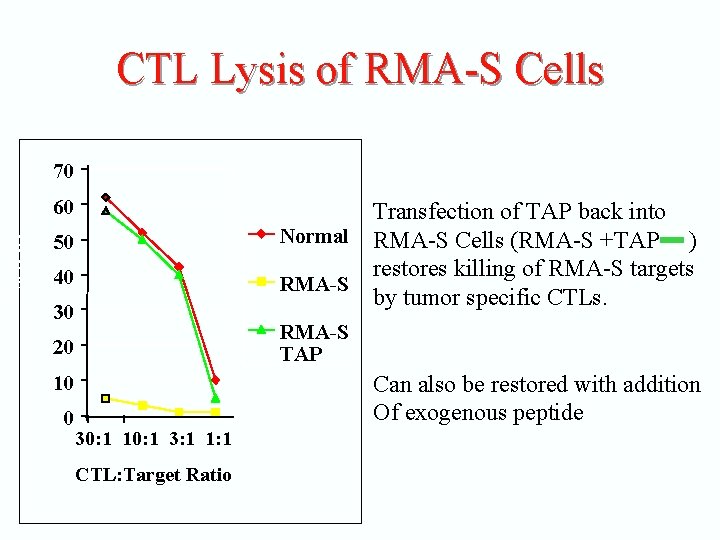 CTL Lysis of RMA-S Cells 70 % lysis 60 50 Normal 40 RMA-S 30