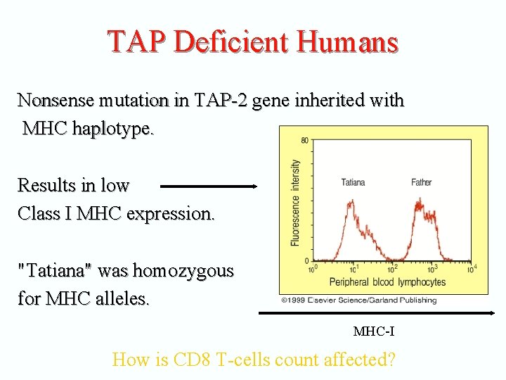 TAP Deficient Humans Nonsense mutation in TAP-2 gene inherited with MHC haplotype. Results in