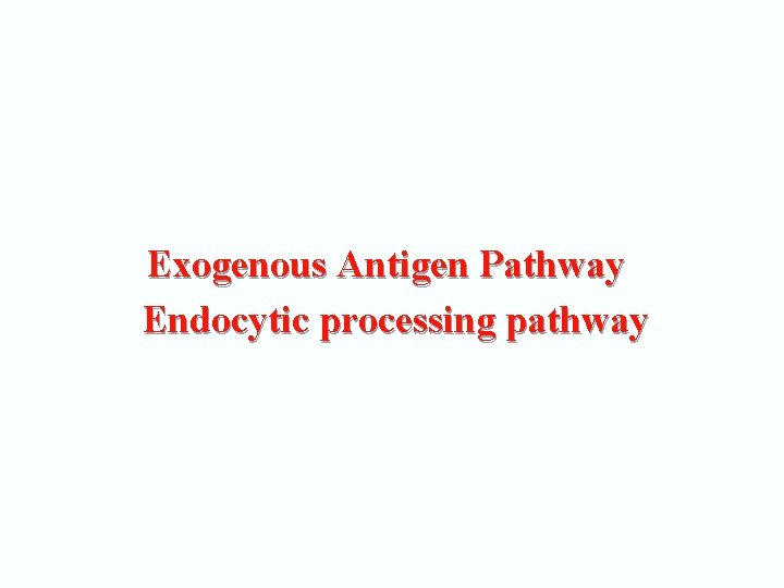 Exogenous Antigen Pathway Endocytic processing pathway 