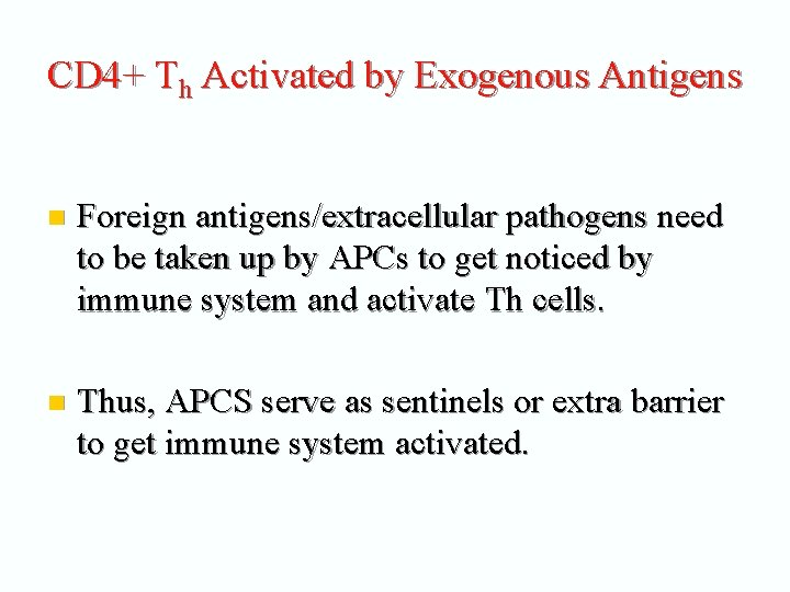 CD 4+ Th Activated by Exogenous Antigens n Foreign antigens/extracellular pathogens need to be