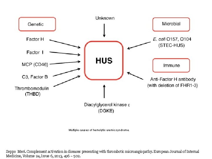 Multiple causes of hemolytic uremic syndrome. Seppo Meri. Complement activation in diseases presenting with