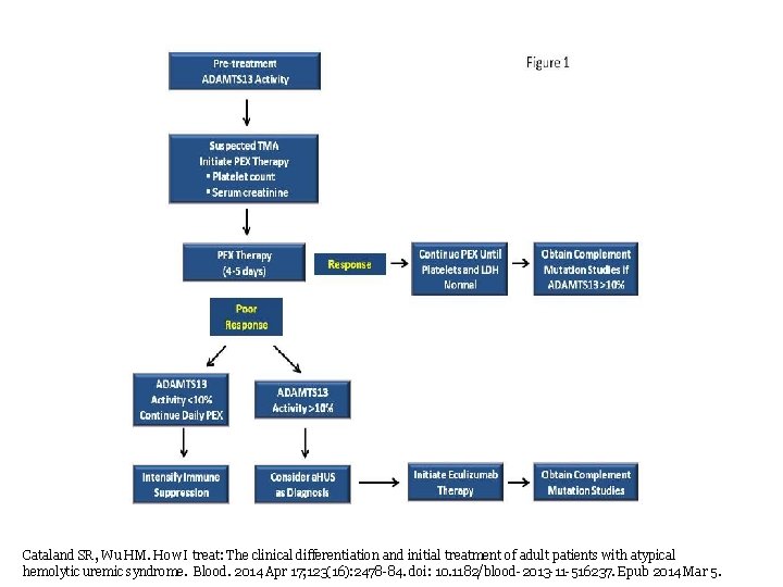 Cataland SR, Wu HM. How I treat: The clinical differentiation and initial treatment of