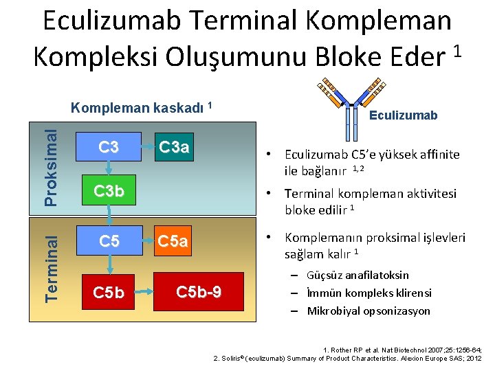 Eculizumab Terminal Kompleman Kompleksi Oluşumunu Bloke Eder 1 Terminal Proksimal Kompleman kaskadı 1 C