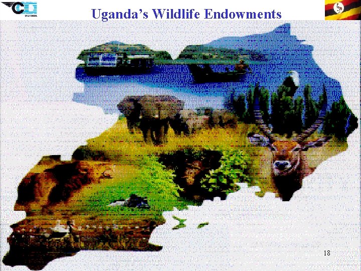 Uganda’s Wildlife Endowments 18 