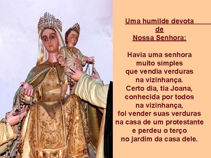 Uma humilde devota de Nossa Senhora: Havia uma senhora muito simples que vendia verduras