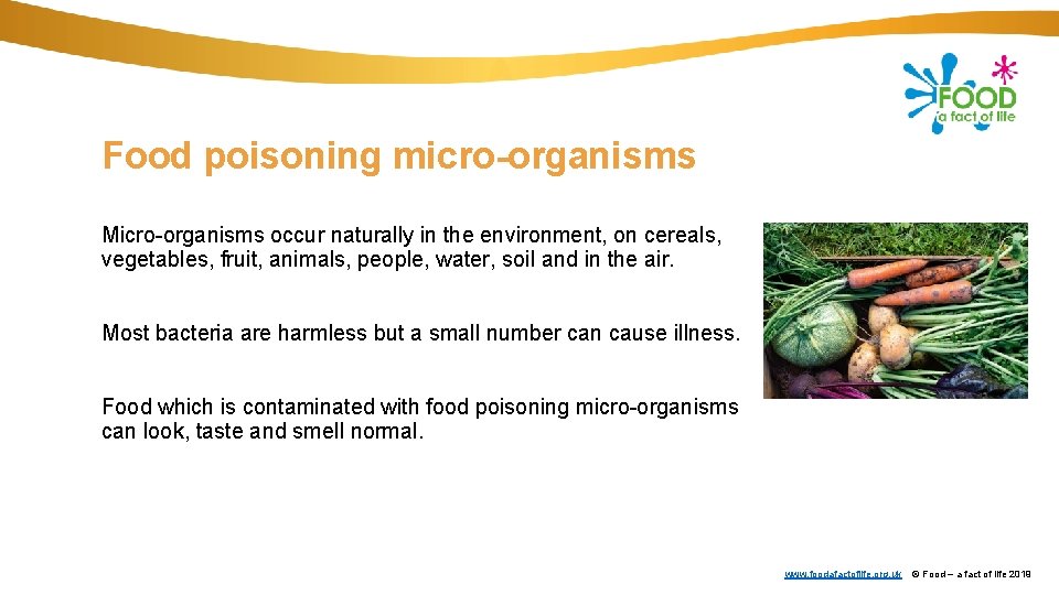 Food poisoning micro-organisms Micro-organisms occur naturally in the environment, on cereals, vegetables, fruit, animals,