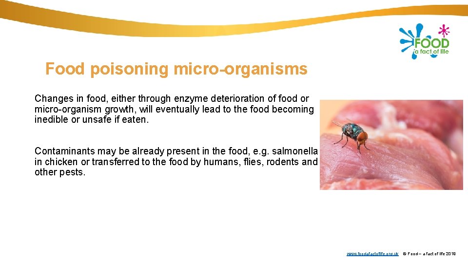 Food poisoning micro-organisms Changes in food, either through enzyme deterioration of food or micro-organism