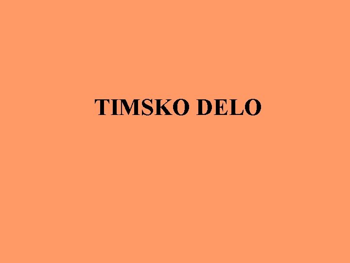 TIMSKO DELO 