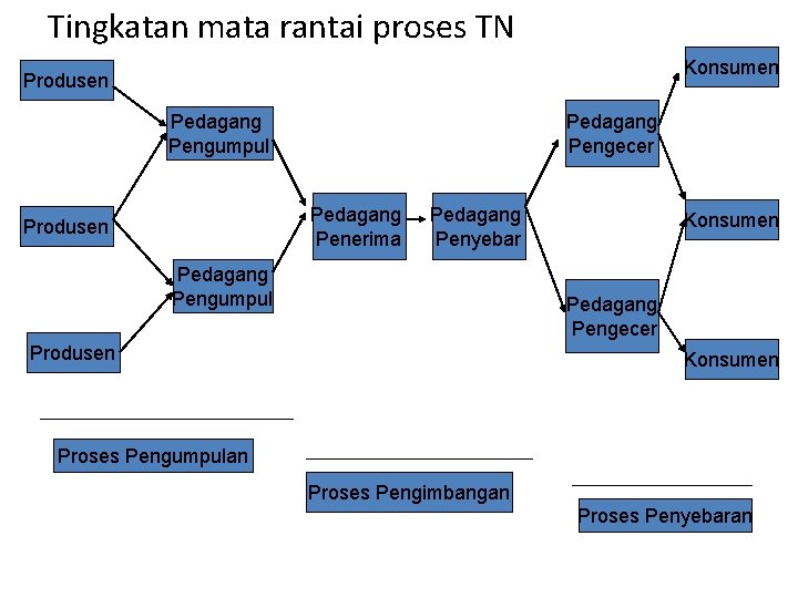 Tingkatan mata rantai proses TN Konsumen Produsen Pedagang Pengumpul Pedagang Pengecer Pedagang Penerima Produsen