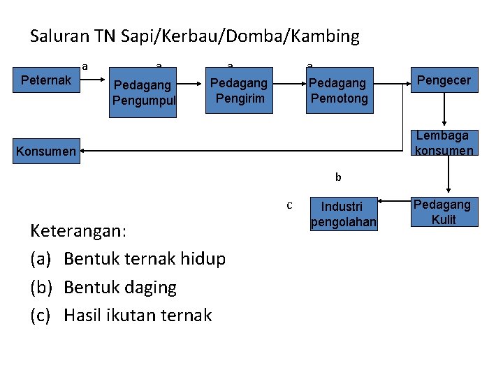 Saluran TN Sapi/Kerbau/Domba/Kambing Peternak a a Pedagang Pengumpul a Pedagang Pengirim a Pedagang Pemotong