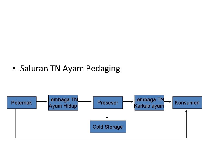  • Saluran TN Ayam Pedaging Peternak Lembaga TN Ayam Hidup Prosesor Cold Storage