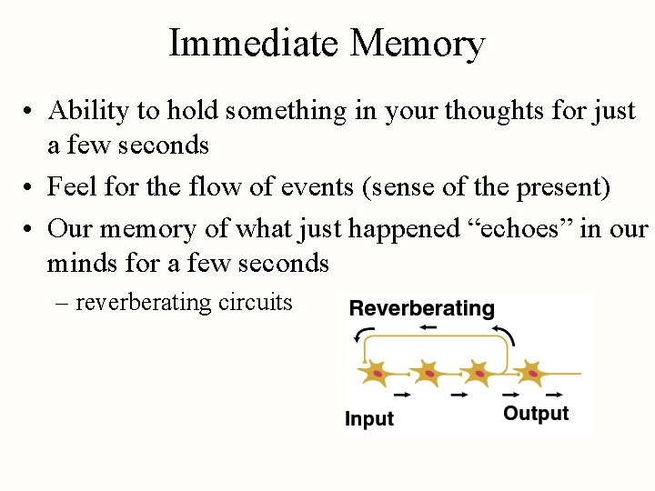 Immediate Memory • Ability to hold something in your thoughts for just a few