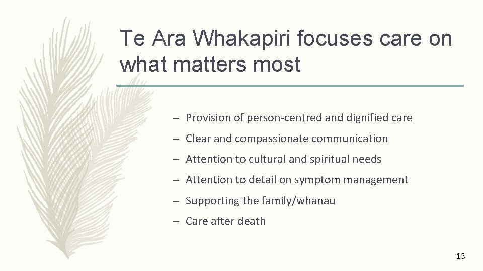 Te Ara Whakapiri focuses care on what matters most – Provision of person-centred and